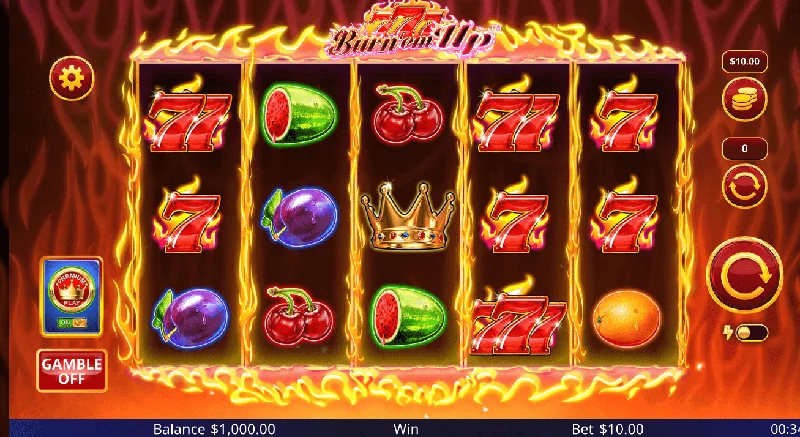 Screenshot di 777 Burn 'Em Up