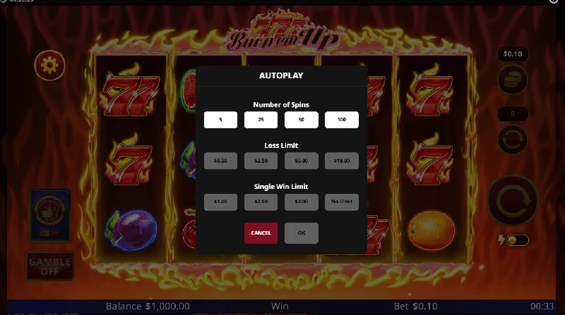 Screenshot di 777 Burn 'Em Up