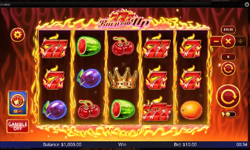 Screenshot di 777 Burn 'Em Up