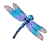 Simbolo Libellula di Big Bass Splash 1000